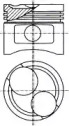 WILMINK GROUP wg1175629 -  